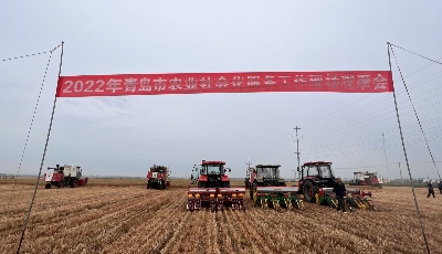 青岛家庭农场发展搭上“快车道” 数量达4.5万家 比2020年增长105%