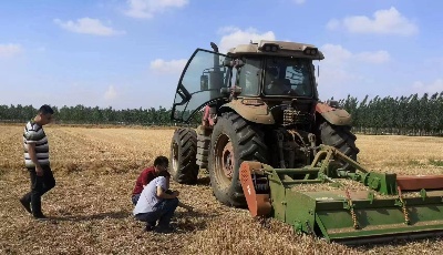 青岛胶州科技赋能秸秆还田  生态生产双丰收