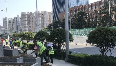 山东路将现“彩虹花墙”  主干道绿化更新构建美丽新市北