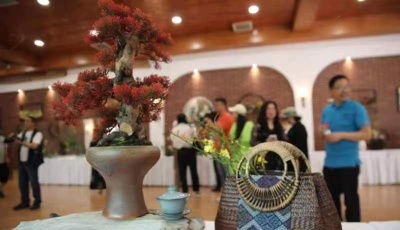 70余场森林文化活动盛大启幕！山东省首届“森林文化周”青岛分会场系列活动开启 