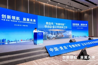 如何让“专精特新”企业在蓝色沃土上生长，这场论坛给出了路径