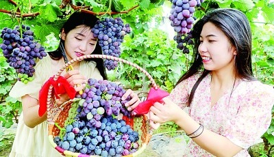 山东：高质量发展积厚成势