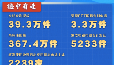全國知識產權半年報:穩中有進 "數"看"成績單"