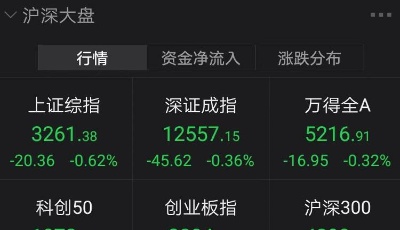 两市低开沪指跌0.62% 贵金属等板块领跌