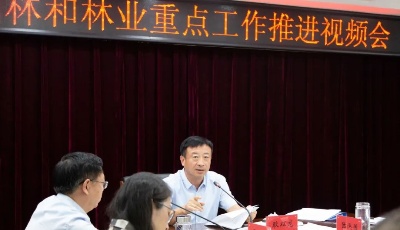 青岛园林和林业亮出半年成绩：建设完成33个口袋公园96处立体绿化