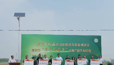 农业农村部全国农服进万家 青岛发布“琴岛托管贷”金融产品