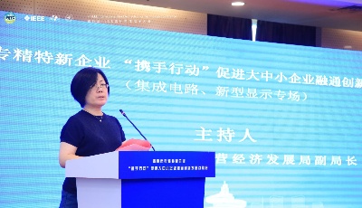 学术演讲、成果发布、供需对接，这场柔性电子技术领域大会很吸睛