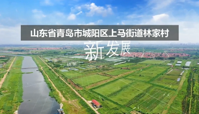 山东青岛林家村：建造便民利民基础设施 挖掘传承优秀历史民俗文化