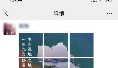 “拼吧”，东营！一组九宫格带你领略生态湿地之城的神奇壮美