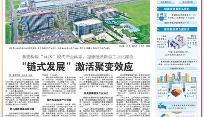 “链式发展”激活聚变效应