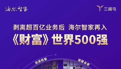 剥离超百亿业务后，海尔集团旗下海尔智家再入《财富》世界500强