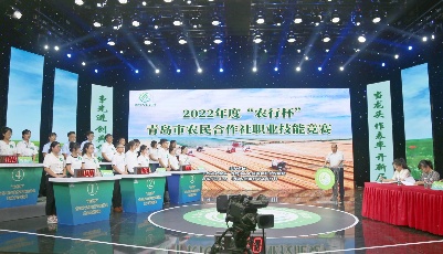 当好农村“三资”管家！青岛市农村经营管理行业职业技能竞赛举行