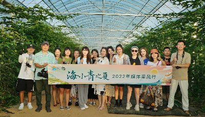 品茗賞景目的地！媒體采風(fēng)團走進海青鎮(zhèn)