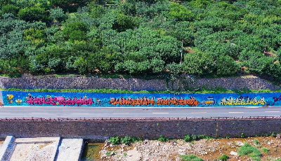 国内首创！青岛市打造法治文化主题涂鸦墙