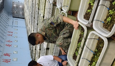 青岛市农科院坚持7年科技拥军助力驻青某部“菜篮子”建设