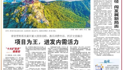 项目为王，迸发内需活力