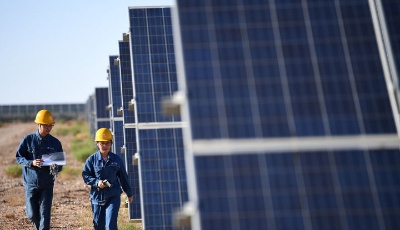 A股行业龙头公司半年报业绩亮眼 光伏新能源产业链表现突出