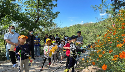 沉浸式体验大自然中的美育课堂 绿色小使者们浮山再出发