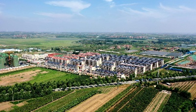 上榜“国字号”！青岛莱西市成功入选全国农业现代化示范区创建名单