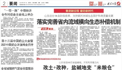 改土+改种，山东盐碱地变“米粮仓”