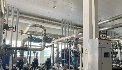 新能源集团持“光”前行，向“绿”奔跑