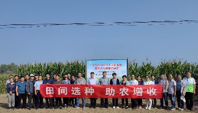 ​喜看秋收好“丰景”！青岛市举办秋季农作物新品种新技术现场观摩会 