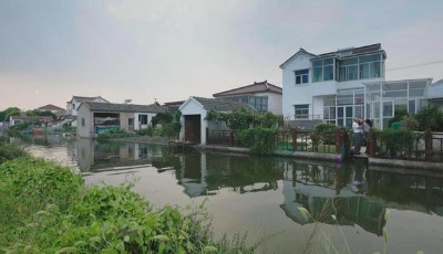 思想的力量丨一张菜单的故事