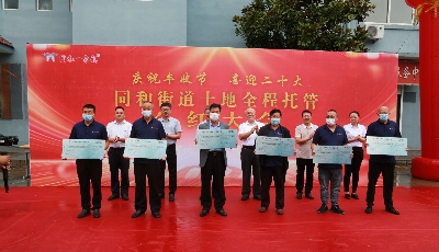 青岛特色农业社会化服务提档升级 实现服务90%以上耕地和农户