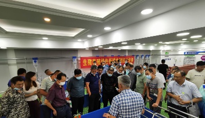 引领畜牧业高质量发展 青岛生猪养殖绿色低碳关键技术培训启动