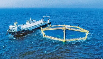 积极探索有效路径 主动服务和融入新发展格局