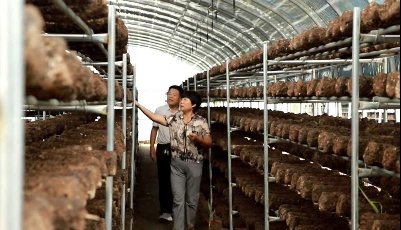 二十大代表风采｜张守英：山村女当家 致富带头人