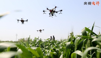 【央视快评】全面推进乡村振兴 为实现农业农村现代化而不懈奋斗  