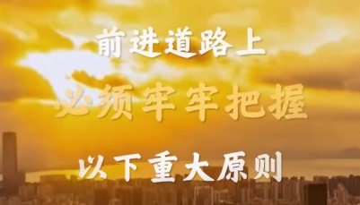 “五项重大原则”，一段视频了解