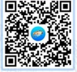 青岛市2022年度企业社保缴费基数差额调整工作启动