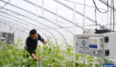 这十年的喜人变化看得见摸得着——来自基层蹲点现场的报道