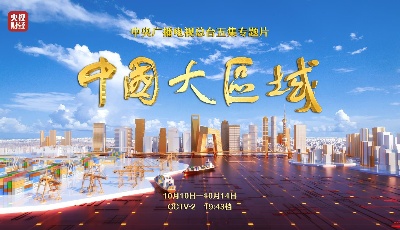 五集专题片《中国大区域》开播