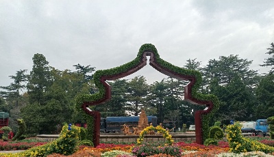 青岛市第38届菊展16日启幕展期一个月