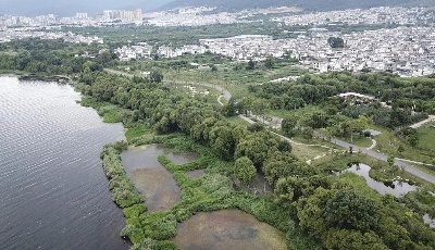 “一”文带你看二十大报告→