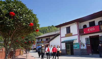 埋头苦干，用新的伟大奋斗创造新的伟业——来自基层蹲点现场的报道