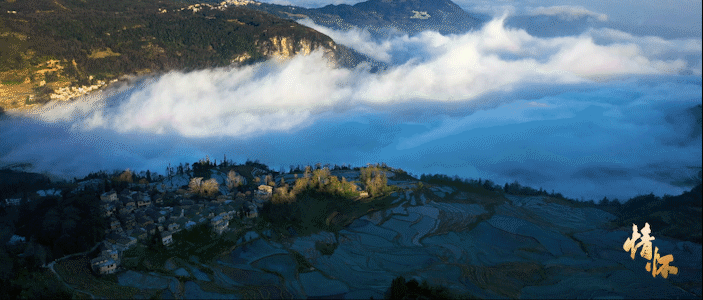 纪录片《人民情怀》