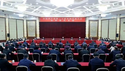 山东省代表团举行总结会议 深入学习宣传贯彻好党的二十大精神