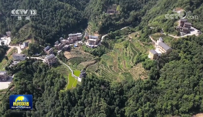 奋力谱写全面建设社会主义现代化国家新篇章——习近平总书记参加广西代表团讨论引发热烈反响