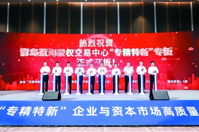 蓝海股权交易中心深度赋能“专精特新”