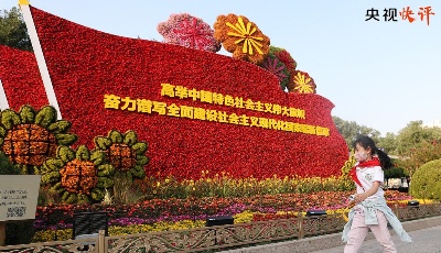 【央视快评】时刻保持解决大党独有难题的清醒和坚定