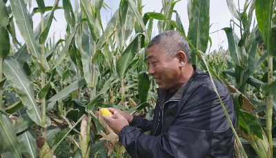 思想的力量丨八里庙村的共富路