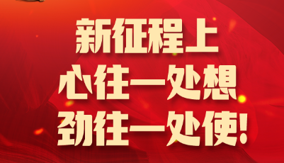 山东团代表议报告②丨新征程上，心往一处想劲往一处使！