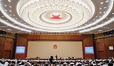 习近平：国家安全是民族复兴的根基