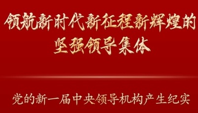 领航新时代新征程新辉煌的坚强领导集体——党的新一届中央领导机构产生纪实