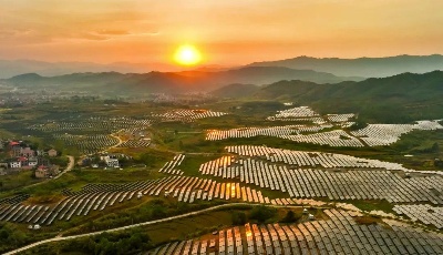 未来怎么干？看懂二十大报告中的这些关键词