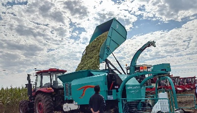 科技助力粮满仓！今年青岛秋粮总产有望继续保持170万吨以上